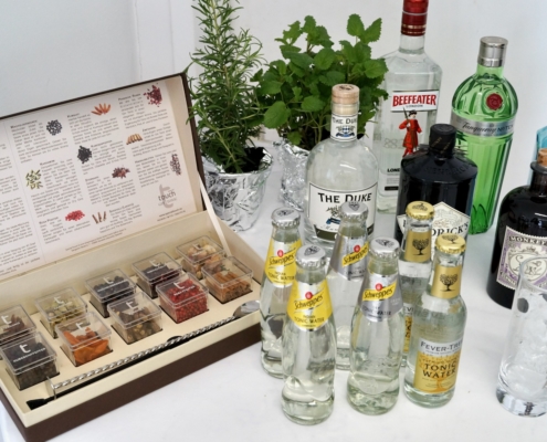 Gin & Tonic Botanicals Koffer mit verschiedenen Gins und Tonics